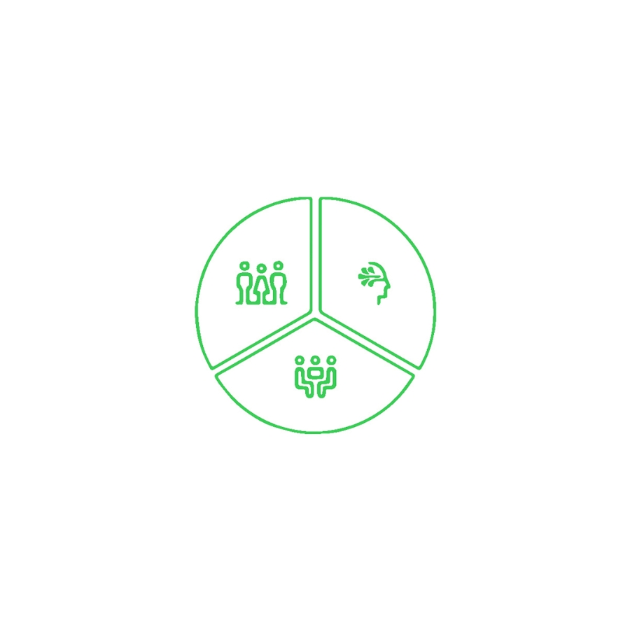 Green colour logo representing three elements people technology and collaboration in a pie shape